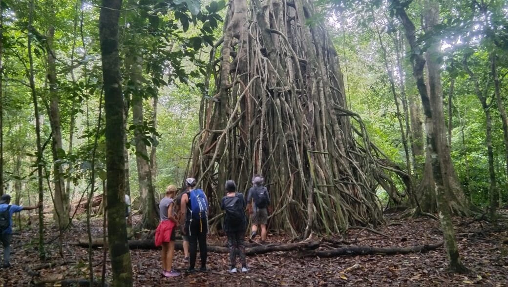 Ujung Kulon Trek-Carita必去景点