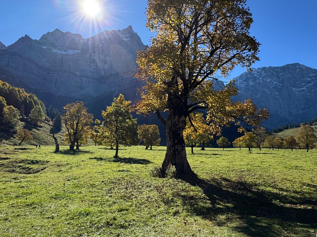 DIE ENG - Das Naturhotel am Grossen Ahornboden主图