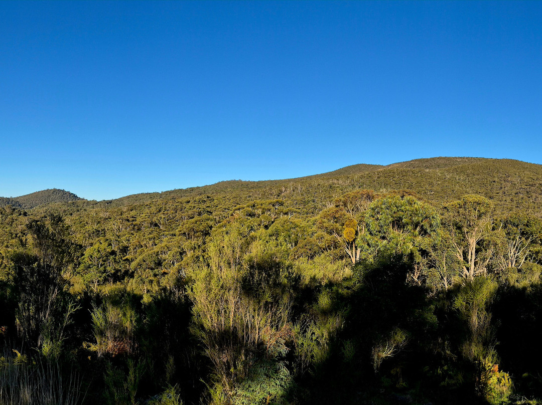 Tidbinbilla Nature Reserve-堪培拉必去景点