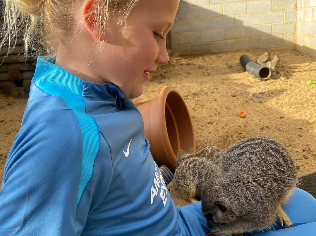 Barleylands Farm Park-Billericay必去景点