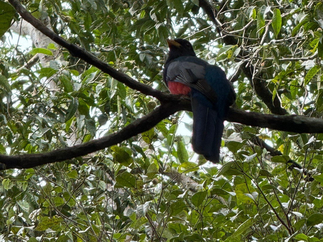 Aqua Expeditions-利马必去景点