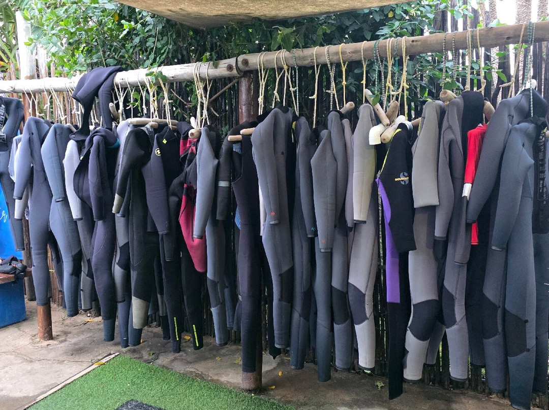 Gozo Azul Diving-Ponta do Ouro必去景点