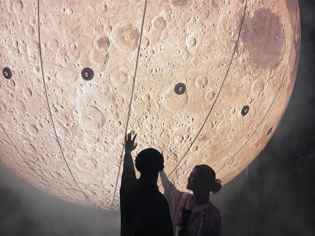 Hikaria: Bali's First Immersive Night Walk-Tegallalang必去景点