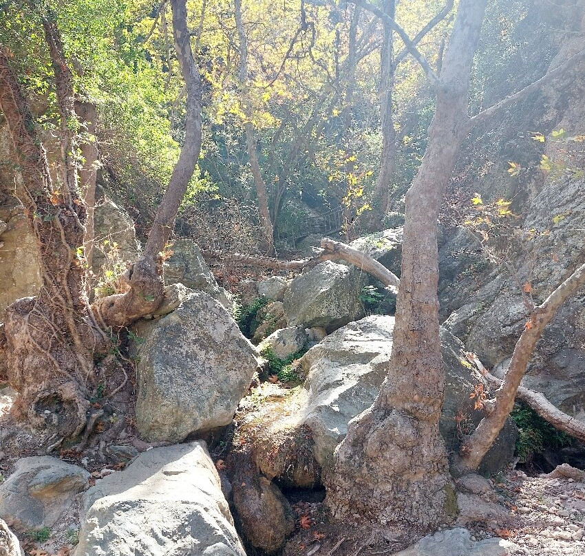 Richtis Gorge-Sitia必去景点