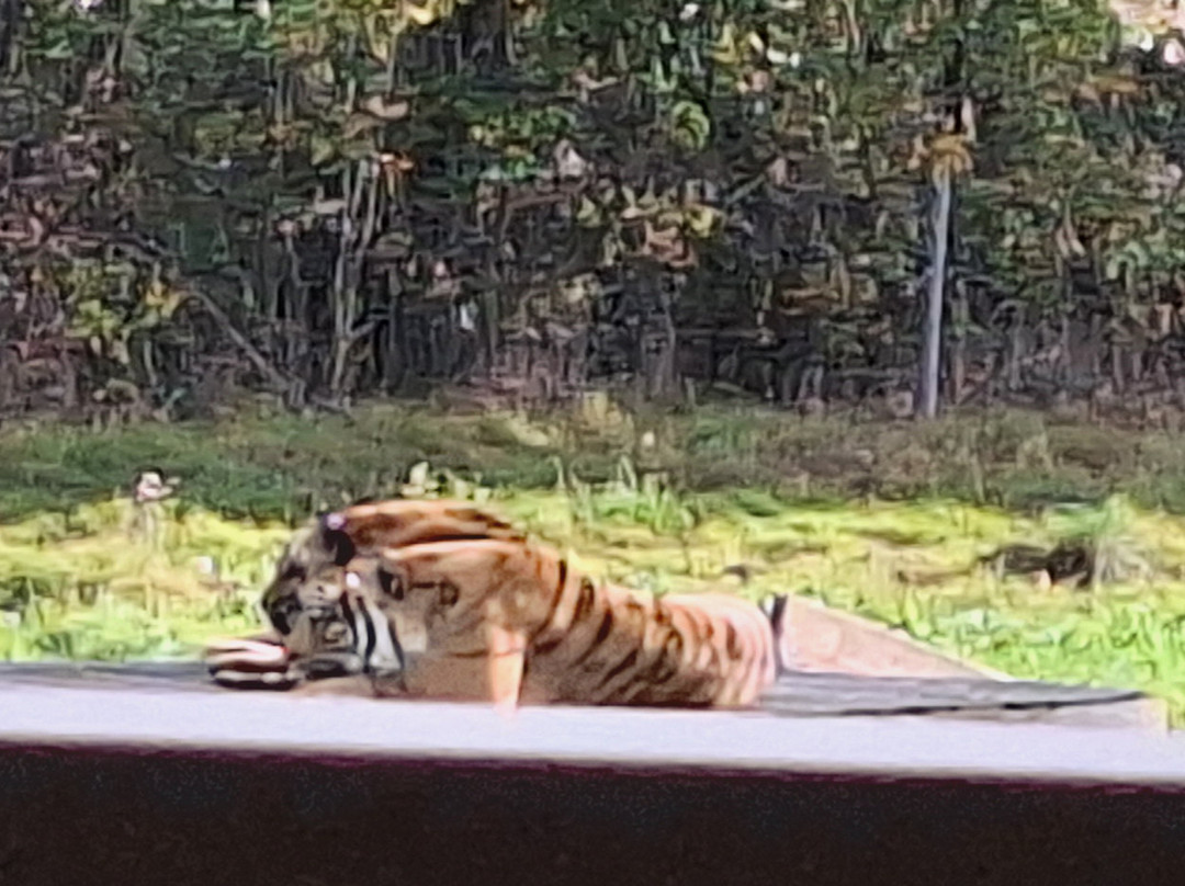 Planète Sauvage-Port-Saint-Pere必去景点