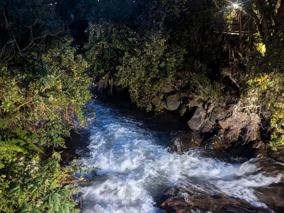 Termas de Papallacta-帕帕亚克塔必去景点