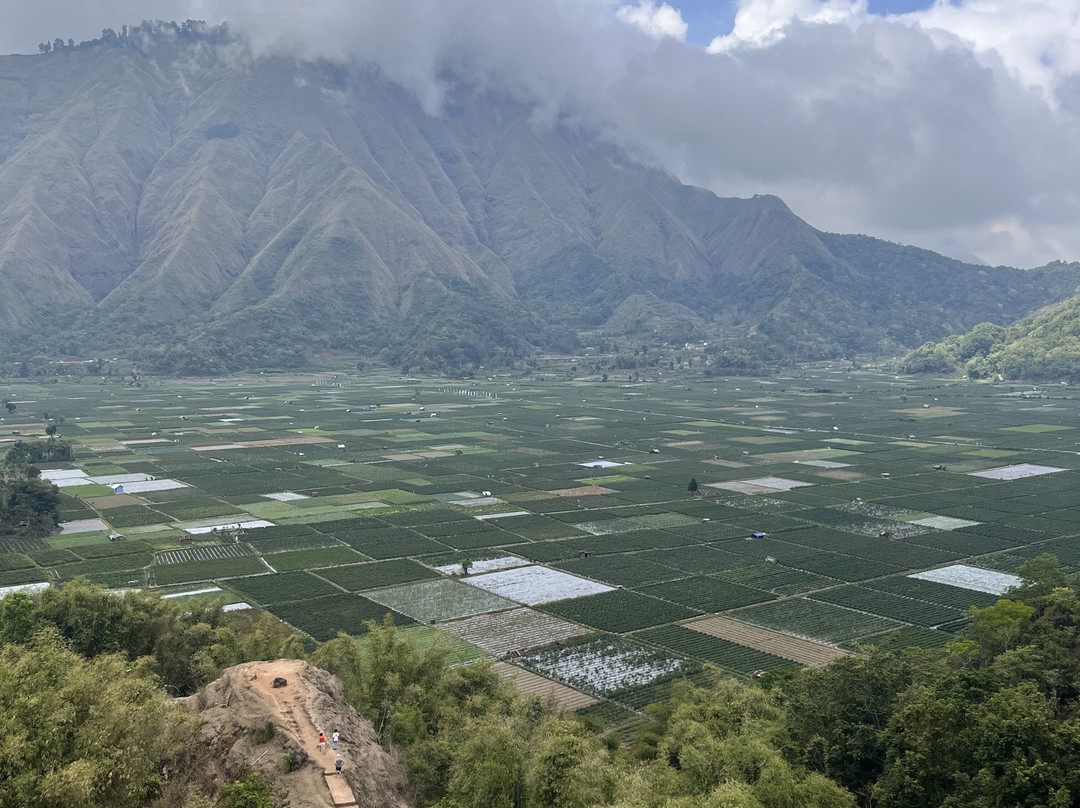 Lombok Transport Guide & Driver-Sukarara必去景点