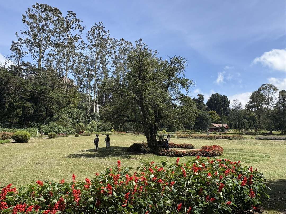 维多利亚公园-奴娃拉伊利雅必去景点