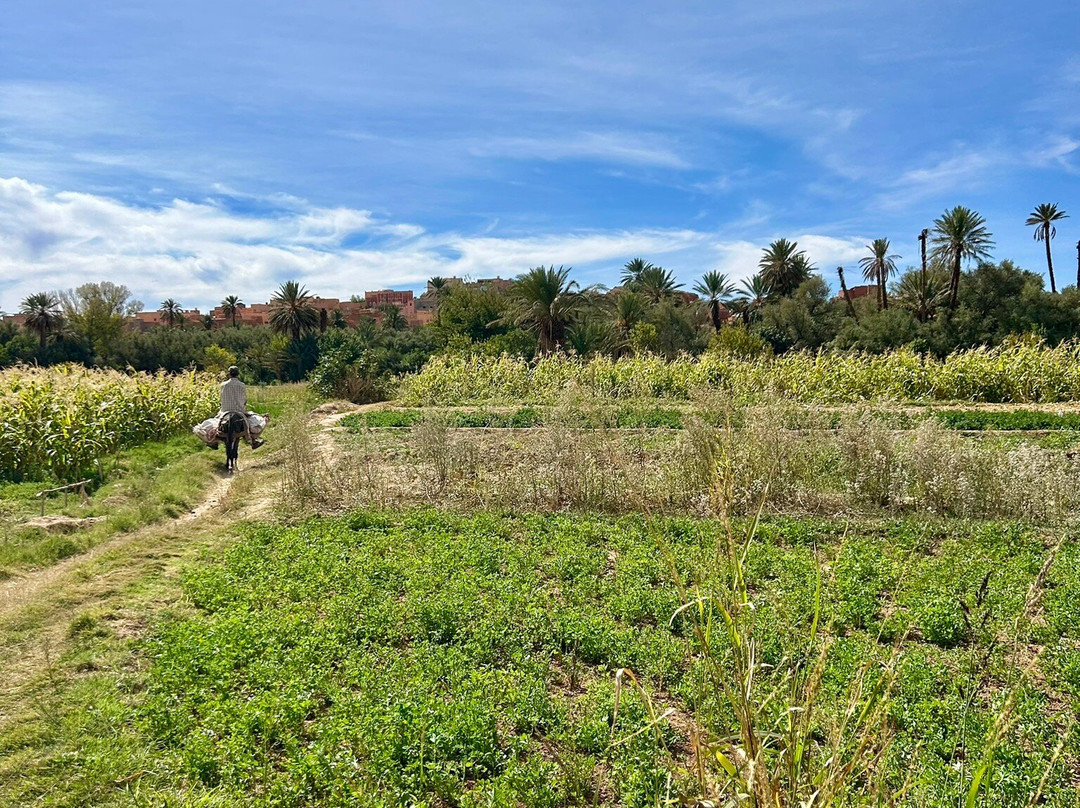 Abdel - Guide Randonnees a Tinghir-廷吉尔必去景点