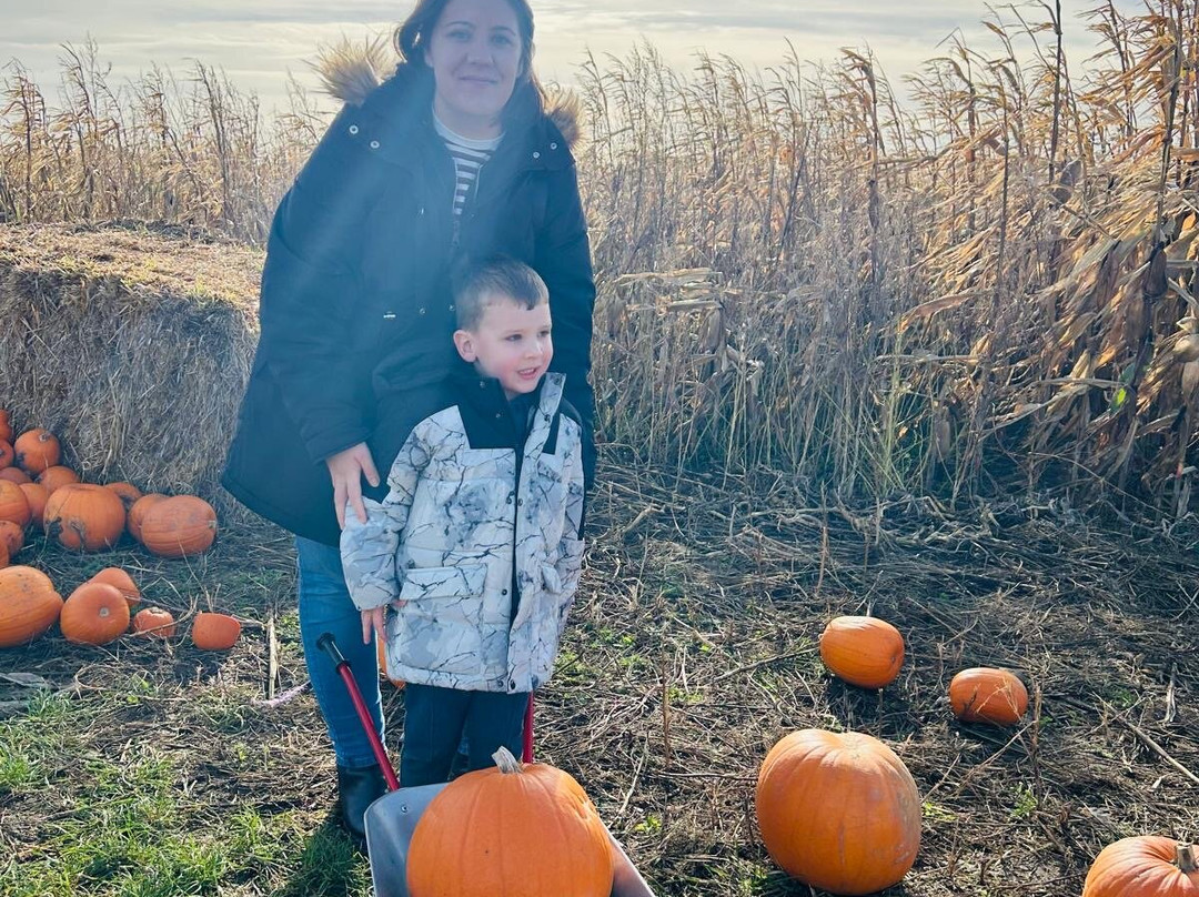 Hirsty's Family Fun Park-Hemsby必去景点