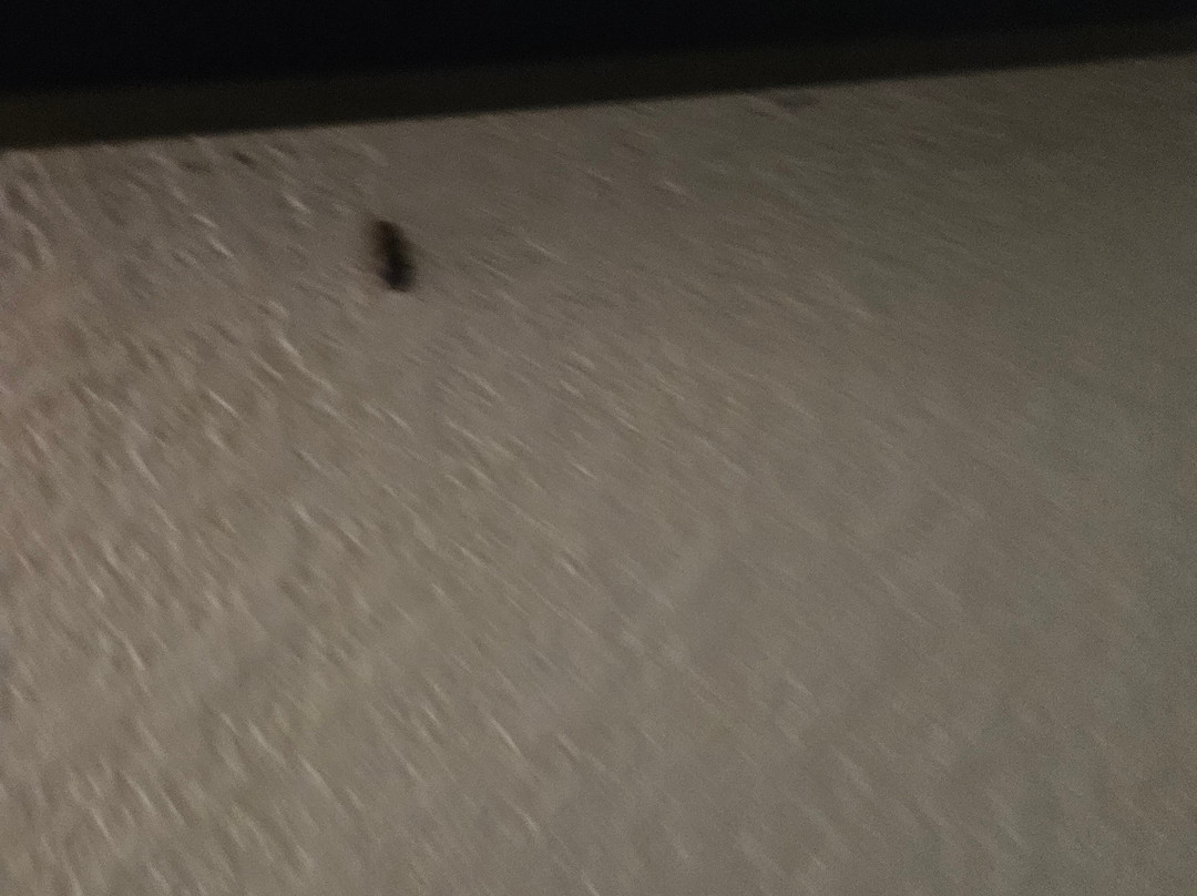 Baymont by Wyndham Belleville Airport Area主图