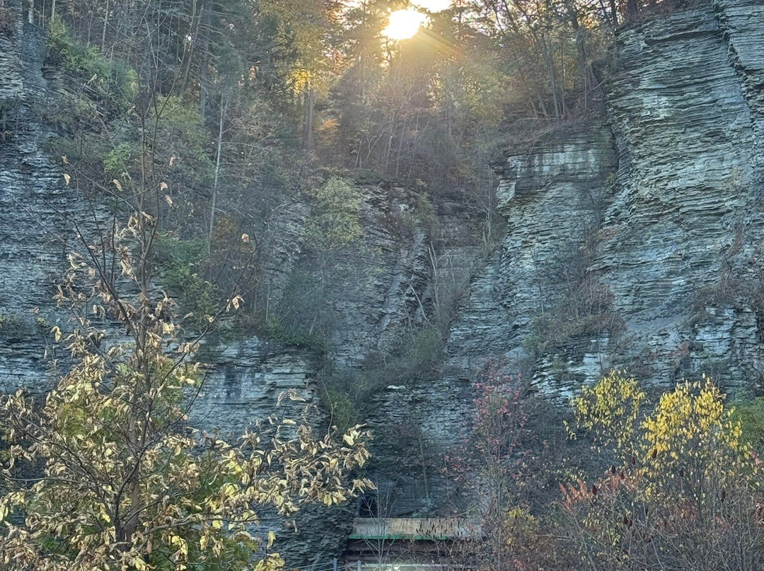 Sutherland House Victorian Bed & Breakfast主图