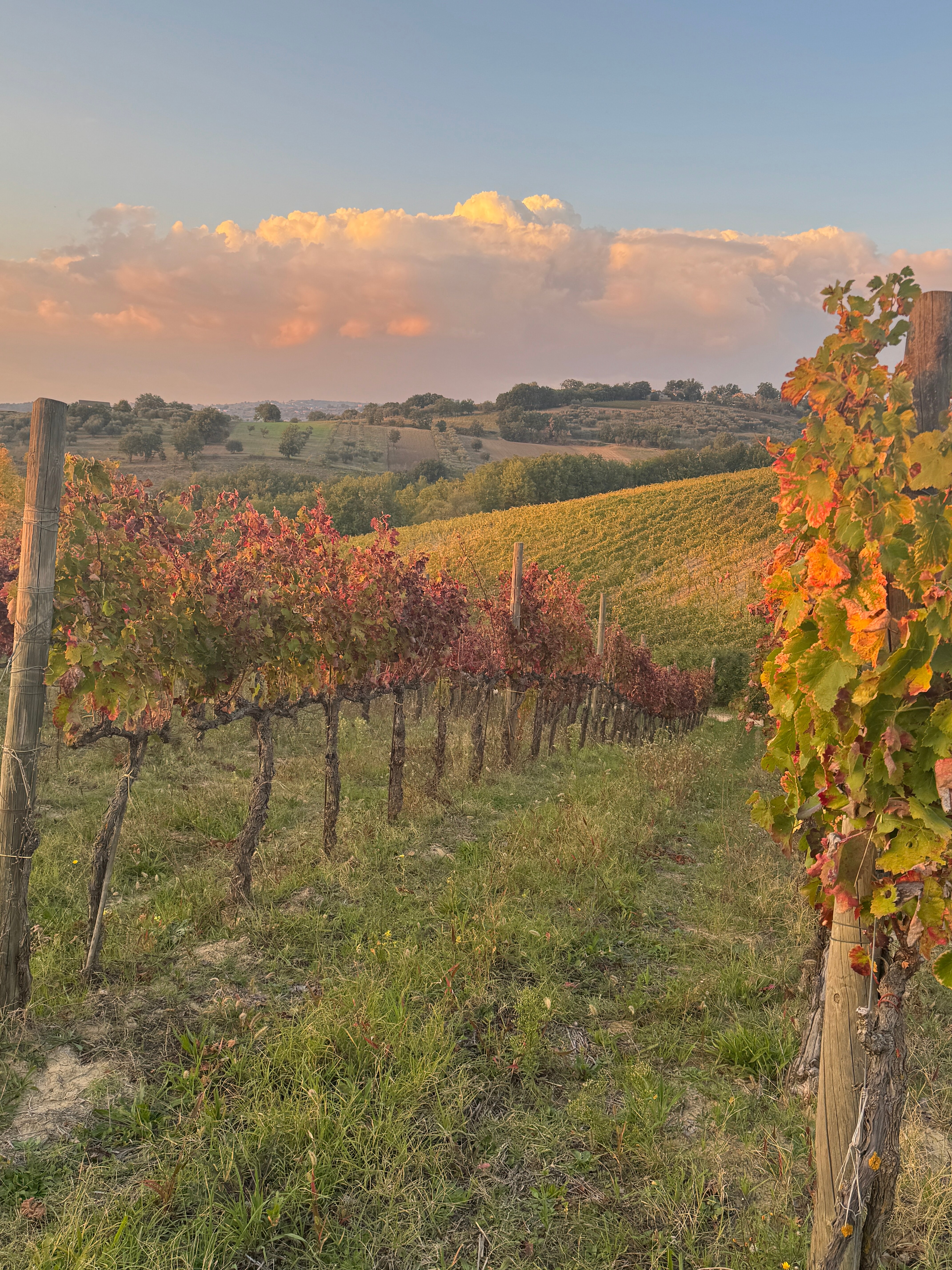 Radici Resort-浴室