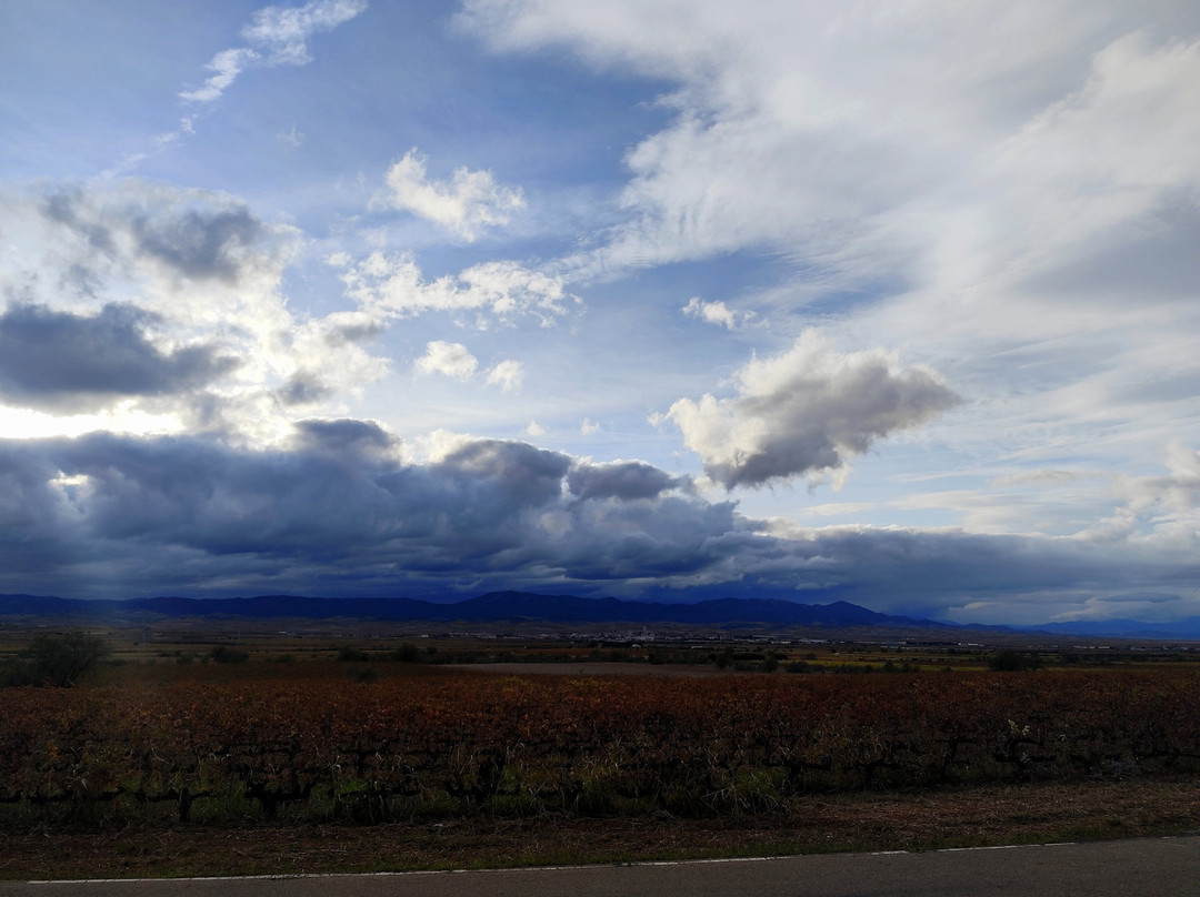 Bodega Tierra De Cubas-Carinena必去景点