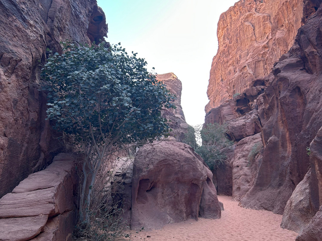 Bedouin Nights Camp-Wadi Rum Village必去景点