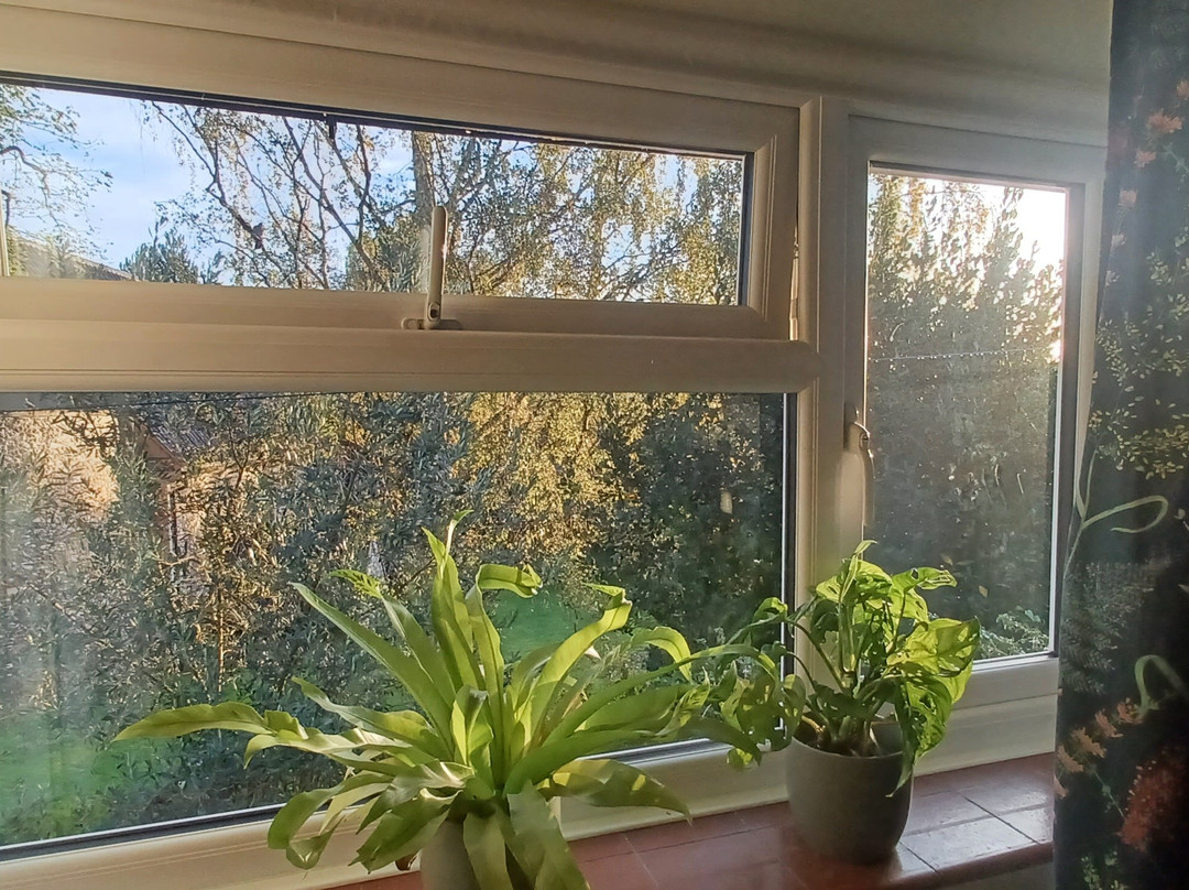 All Hallows Guesthouse主图