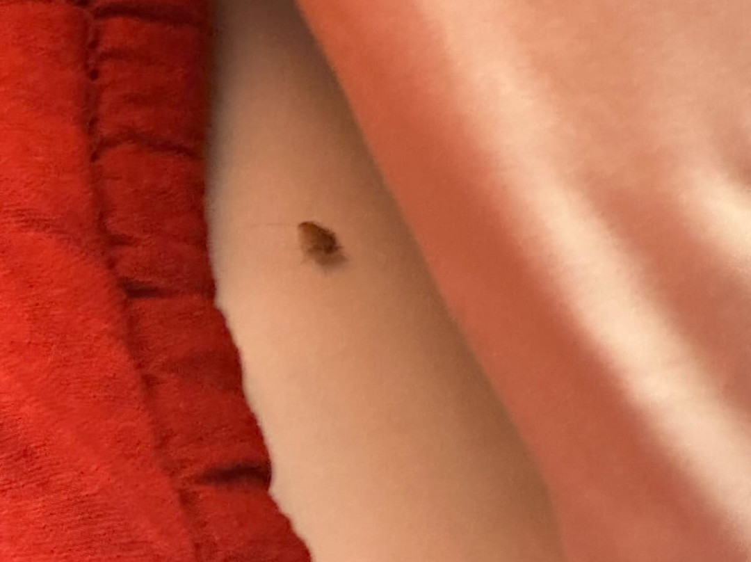 博伊斯城镇普瑞米尔经典酒店主图