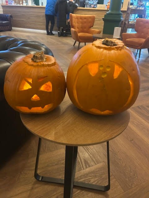 The Mole Resort主图