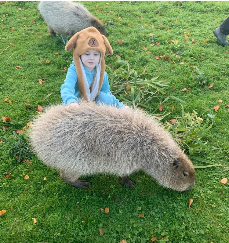 Secret Valley Wildlife Park-韦克斯福德必去景点