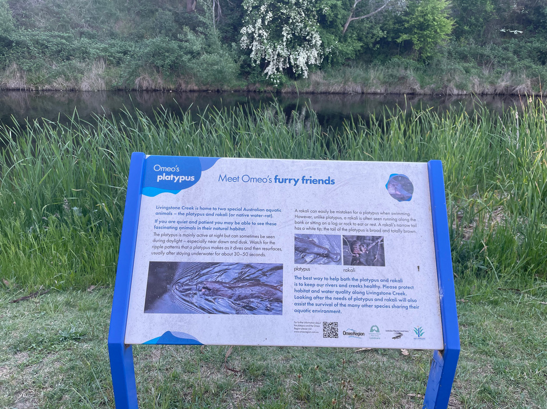 Livingstone Park-Omeo必去景点