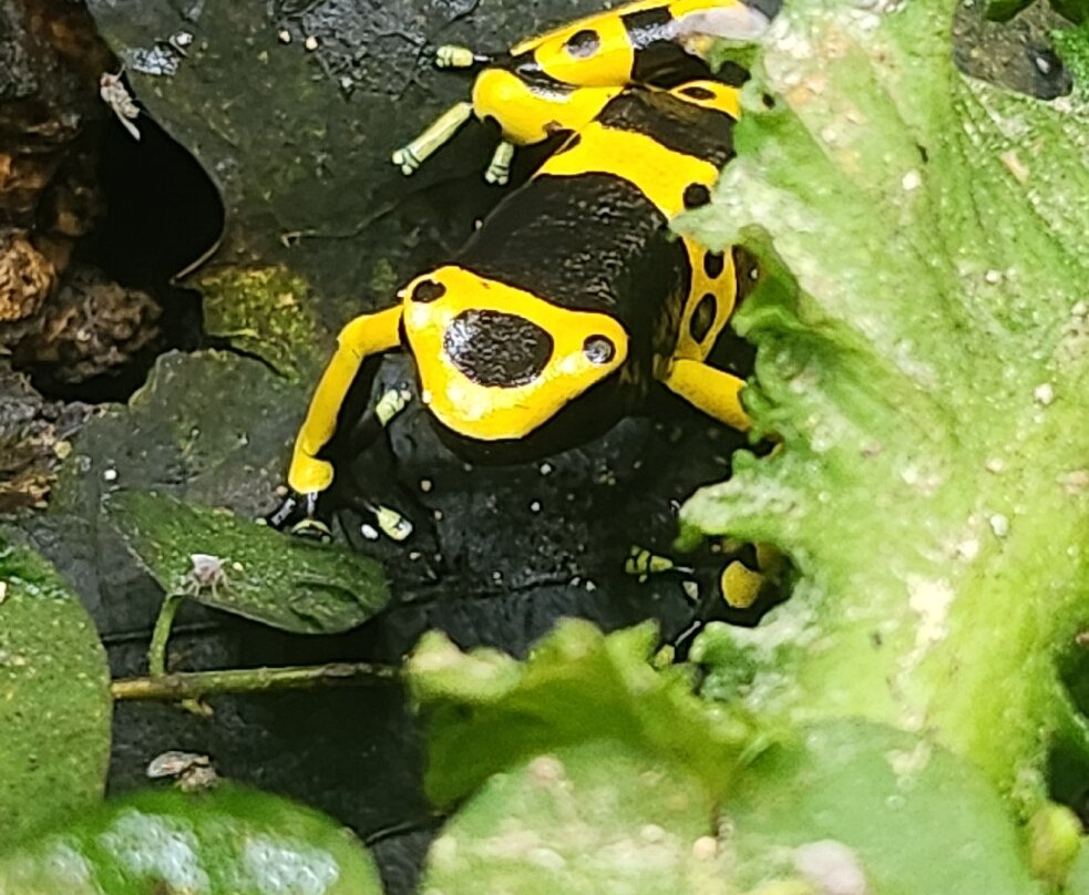 Really Wild Planet-比迪福德必去景点