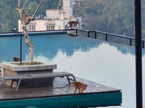 Sanka Tours-卡卢特勒必去景点