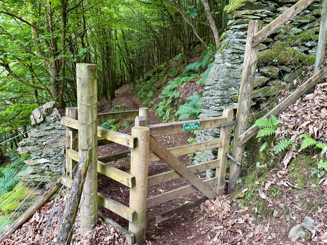 Hollerday Hill-林顿必去景点