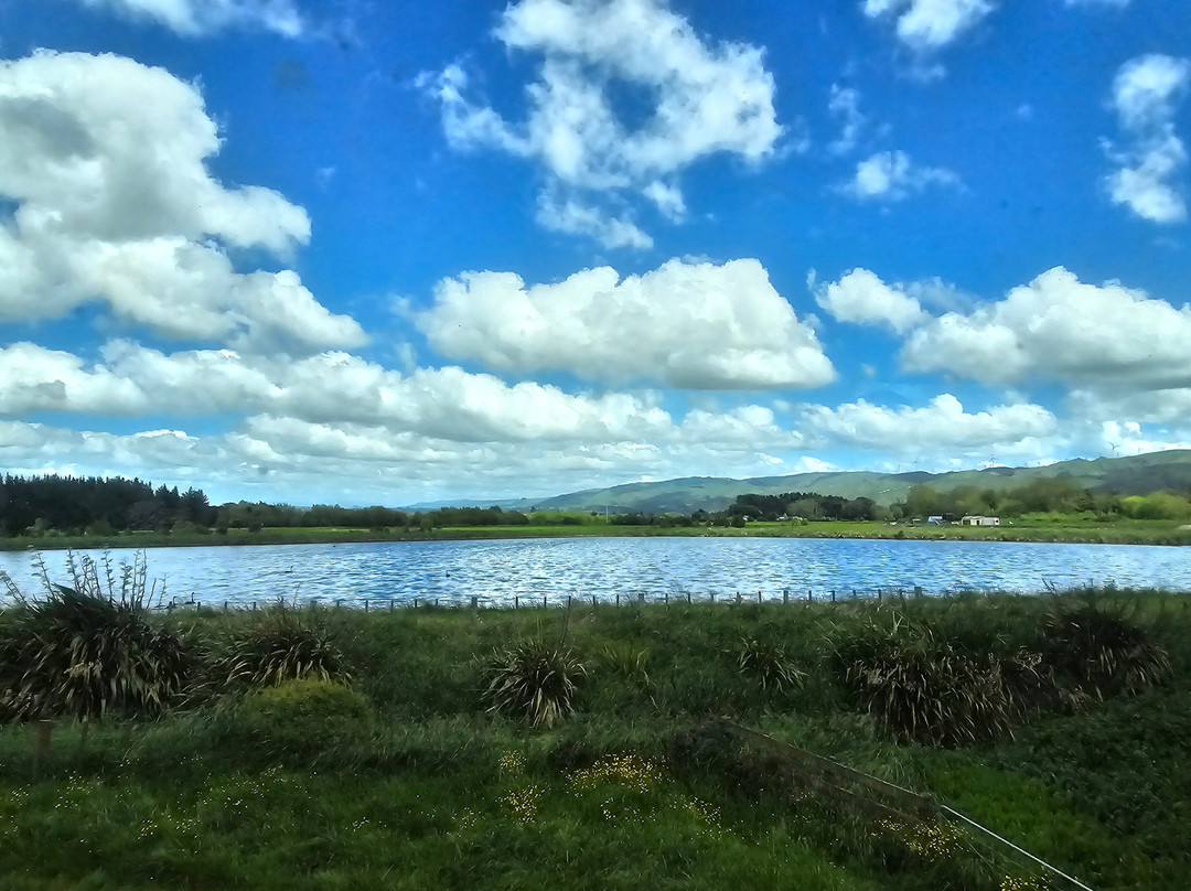 Steam Incorporated-Paekakariki必去景点