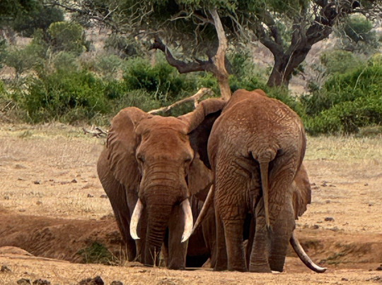 Kenya Dream-瓦塔木必去景点