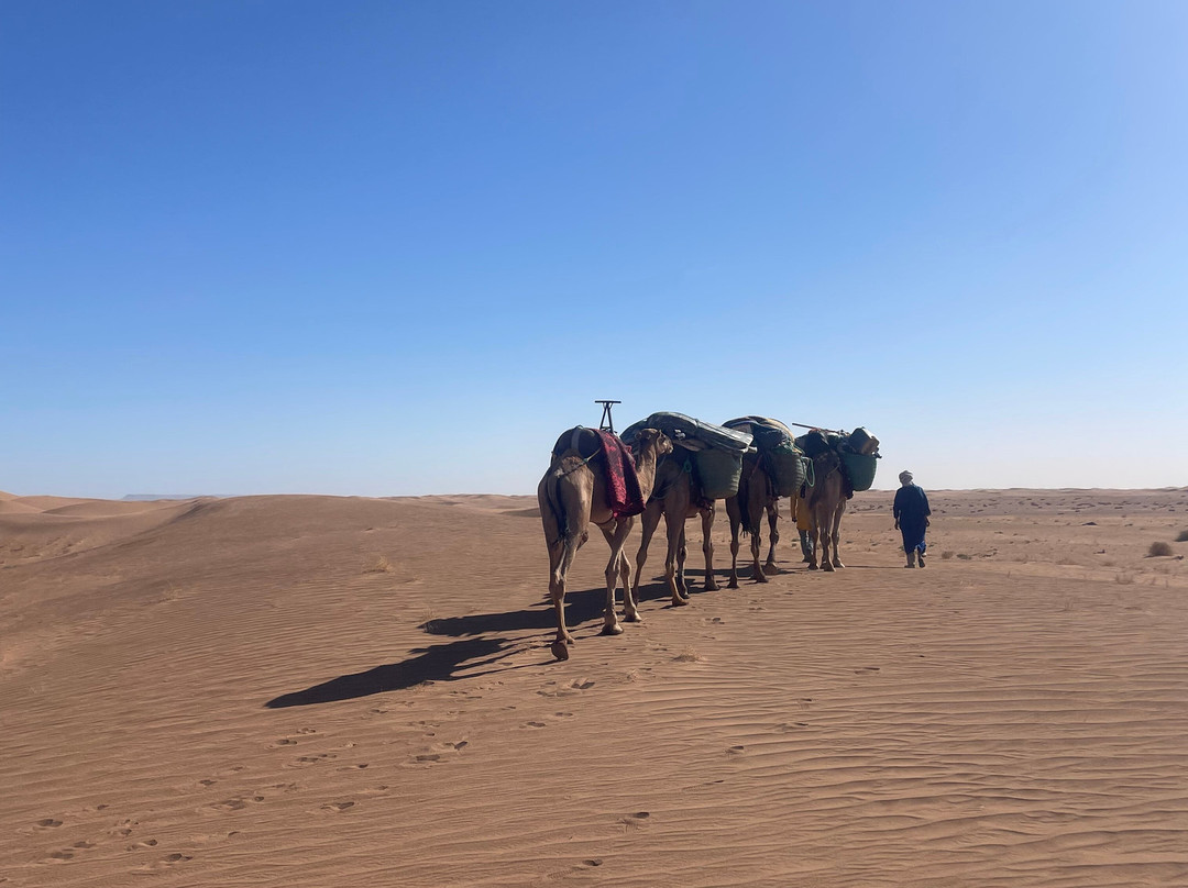 Desert Foum Zguid-Foum Zguid必去景点