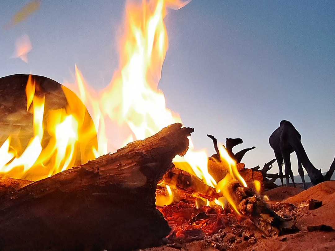 Foum Zguid to Chegaga Tours-Foum Zguid必去景点