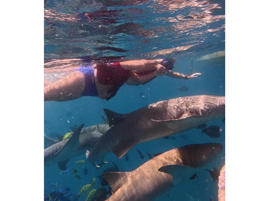 Bubbles Excursion-康杜玛岛必去景点