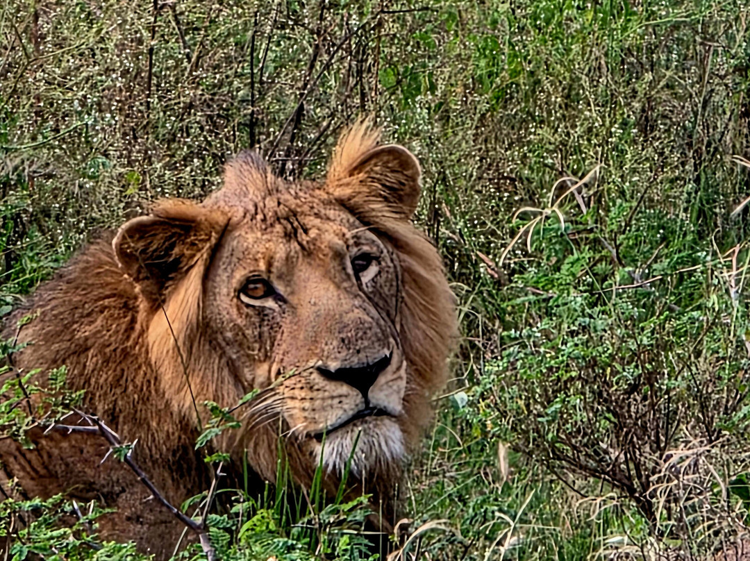 PearlAfric Tours & Travel-坎帕拉必去景点
