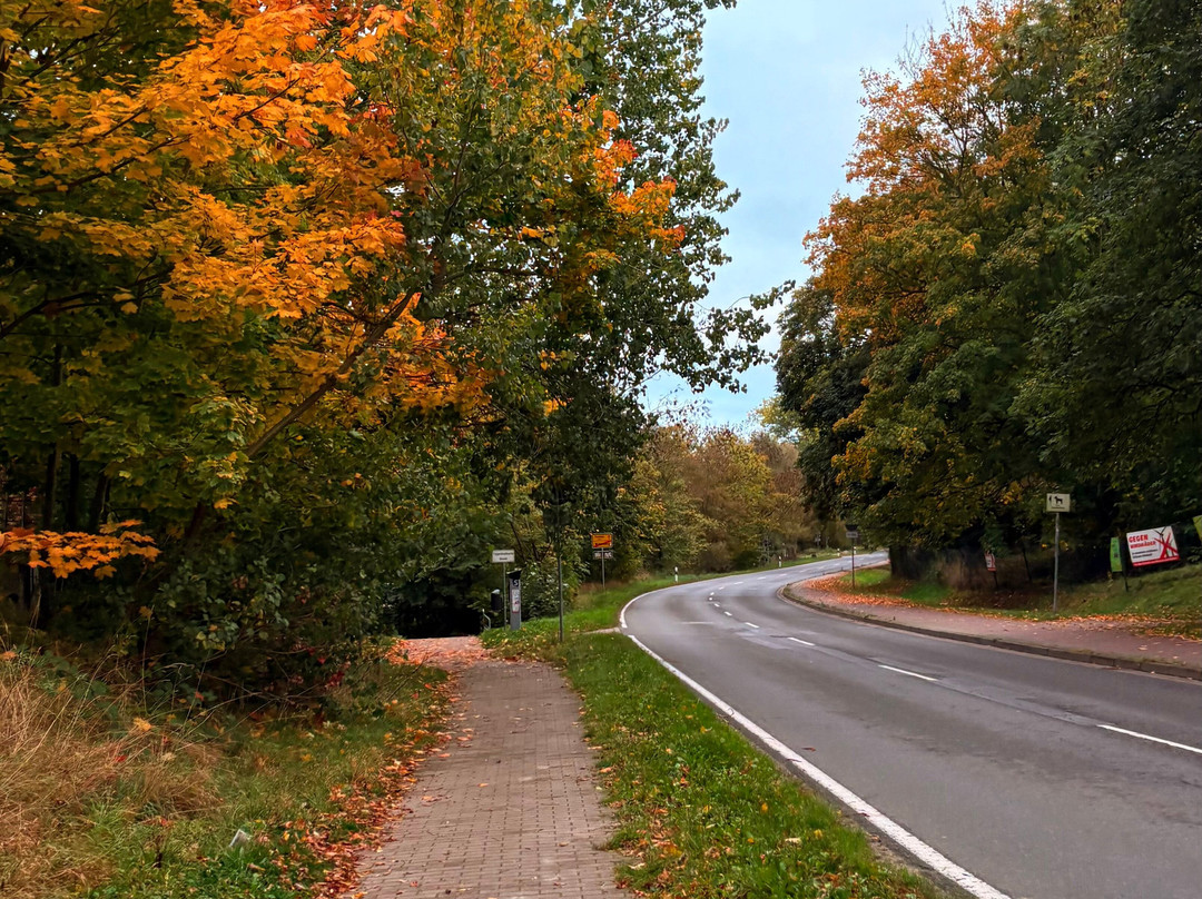 Alcor Hotel Feriendorf an der Ostsee主图
