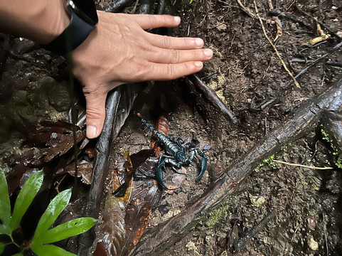 Pondok Wisata Guesthouse主图