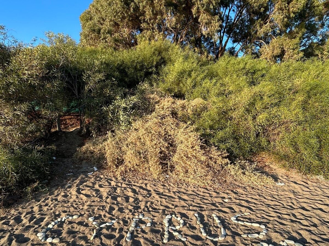 Pissouri Beach-皮索里必去景点