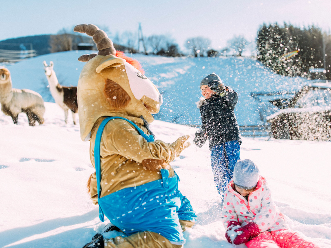 Pitzis Kinderhotel主图