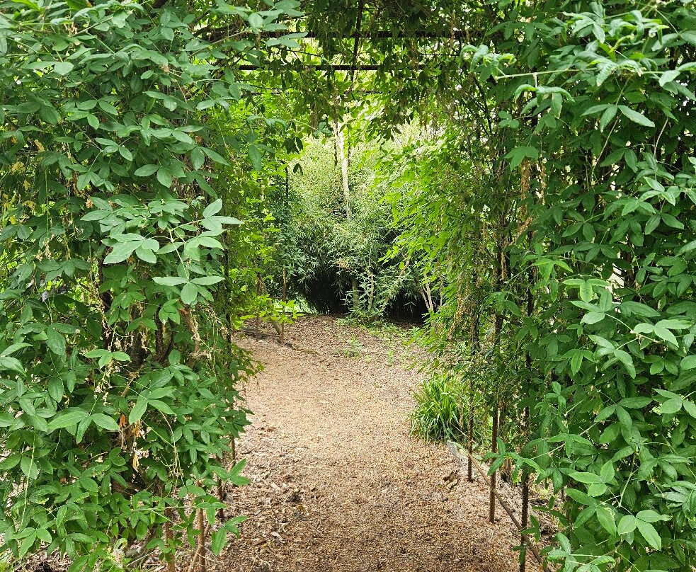 Norfolk Lavender-Heacham必去景点