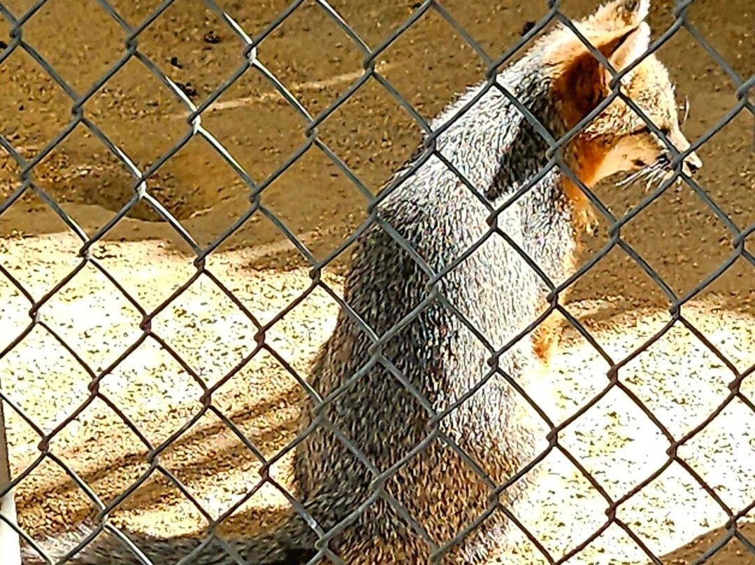 Southwest Wildlife Conservation Center-斯科茨代尔必去景点