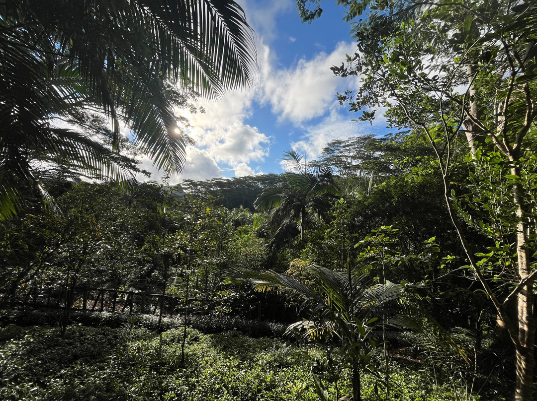 Taxis Mauritius-Plaine Magnien必去景点