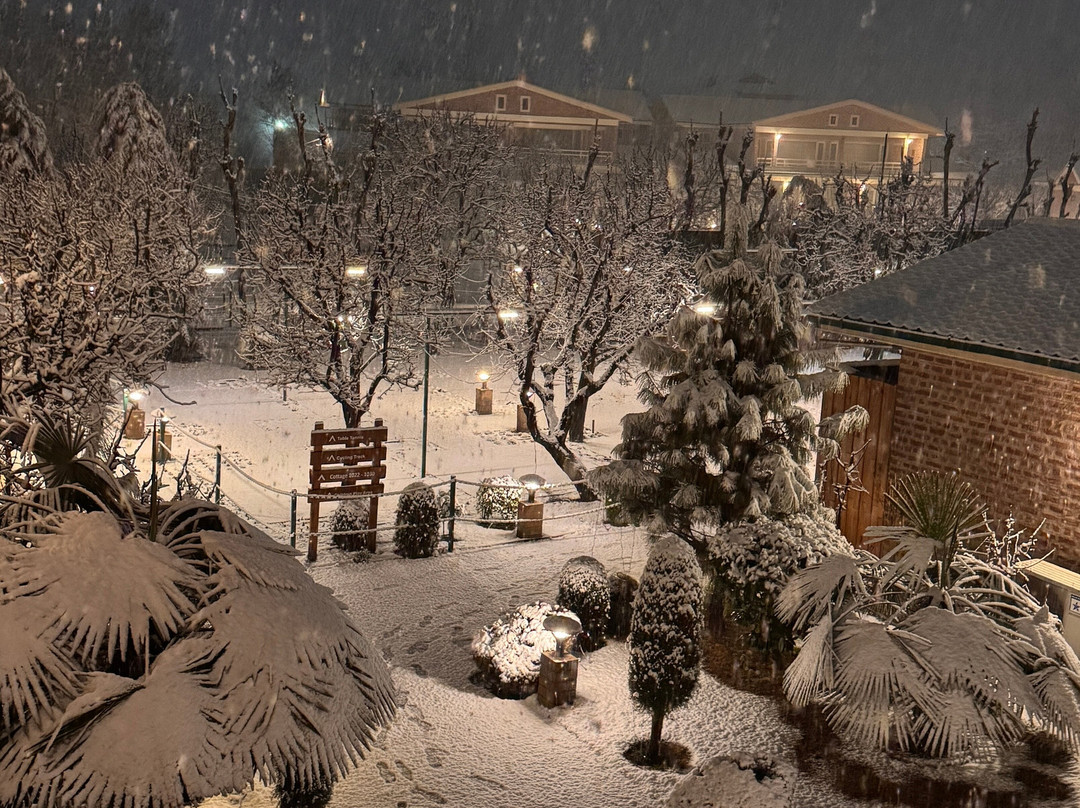 The Orchard Retreat & Spa主图