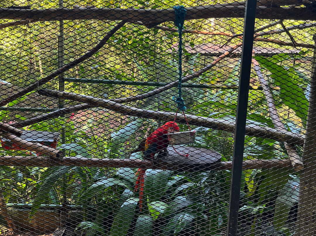 Kids Saving the Rainforest-克波斯必去景点