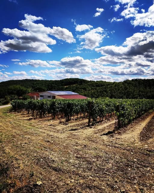 Azienda Agricola Cincinelli-Capolona必去景点