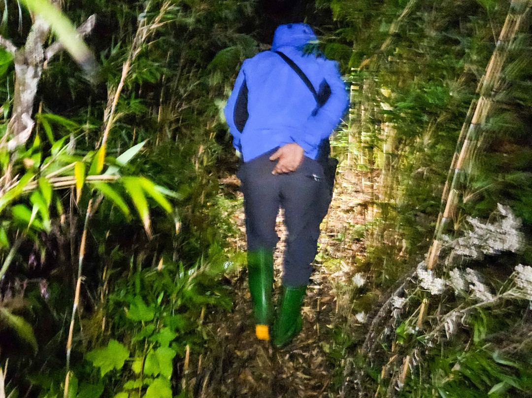 Zonitrip - Day Tours-Yen Bai必去景点