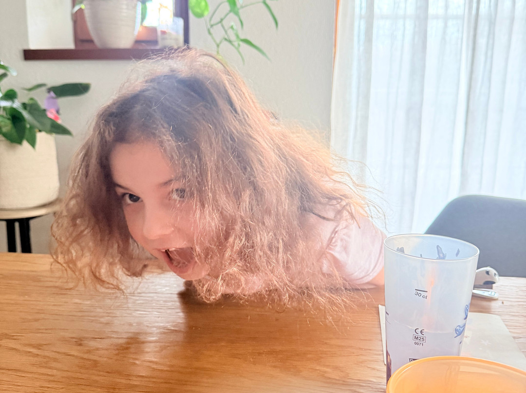 Le train rétro BAM - La Voie des Sens-莫尔日必去景点