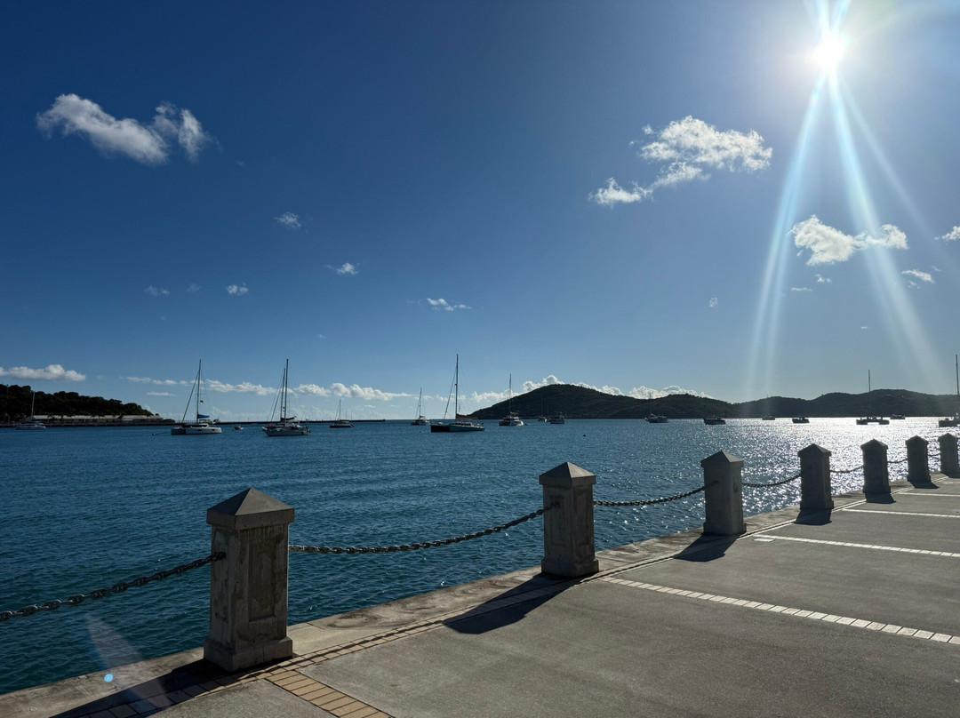 Seas the Day Charters-圣 托马斯必去景点