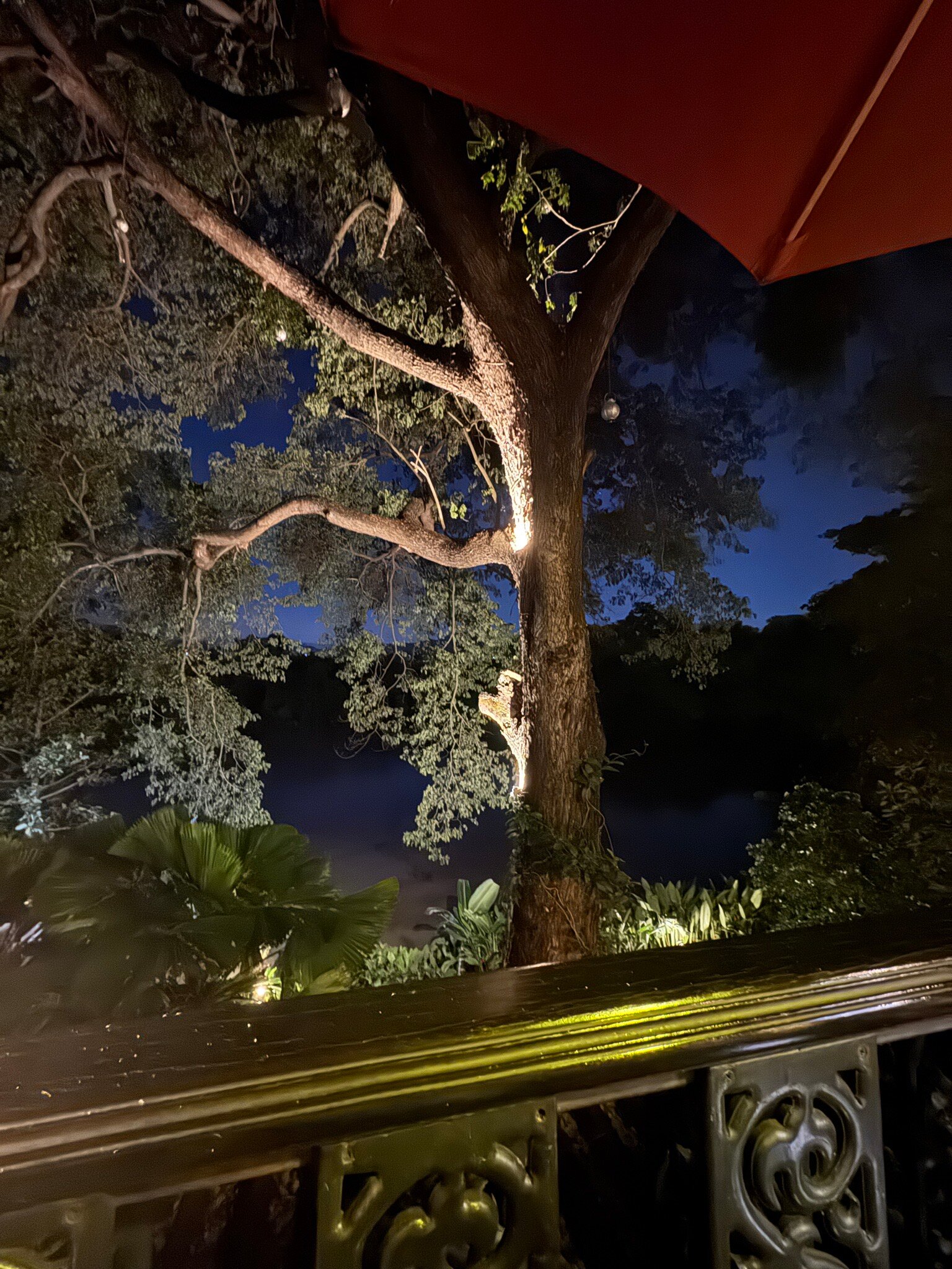 东方葵度假村-官方