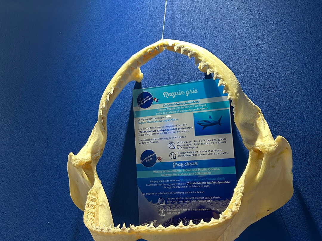 Le Musée de la Mer-Trois-Ilets必去景点