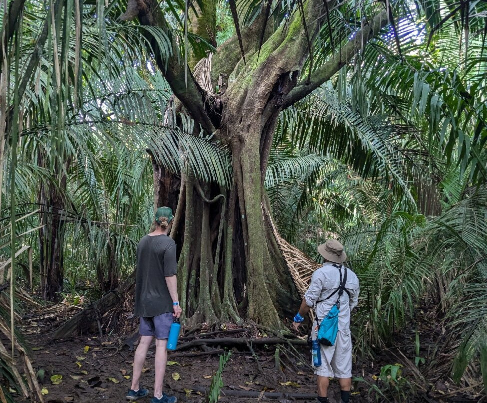 Hacienda Baru Lodge-主日镇必去景点