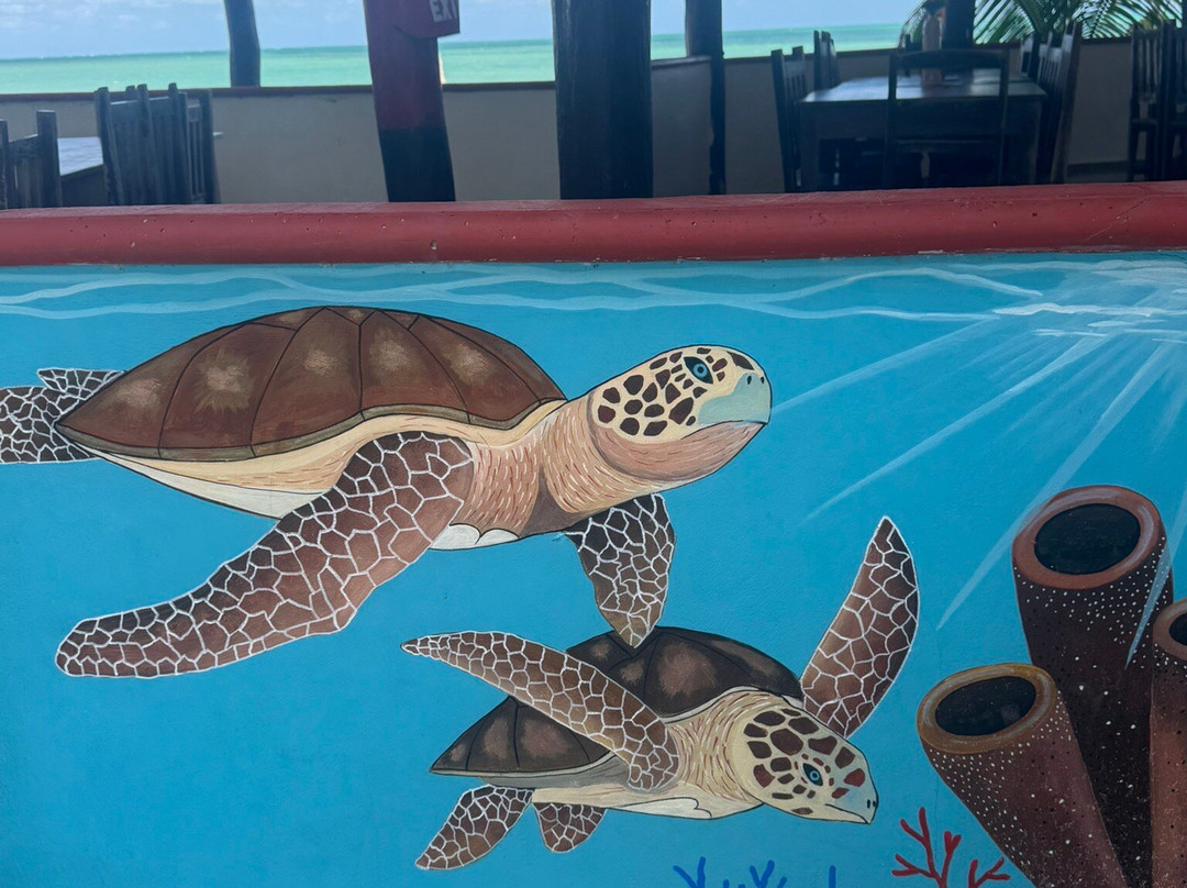 Boutique Tours Mexico-普拉亚德尔卡曼必去景点